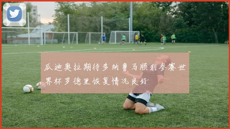 瓜迪奥拉期待多纳鲁马顺利参赛世界杯罗德里恢复情况良好